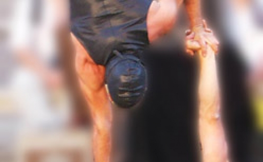 ‘Zaragoza Cultural’ y Fira Mediterrània firman un convenio de colaboración