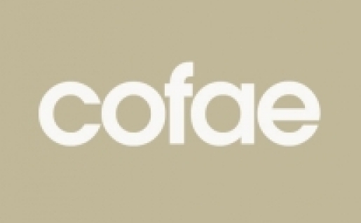 Presentación NUEVA web de COFAE