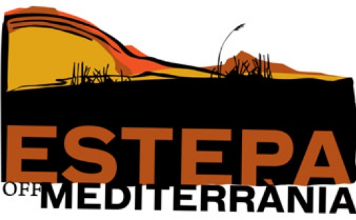 Presentación propuestas artísticas para ell Of de Fira Mediterrània